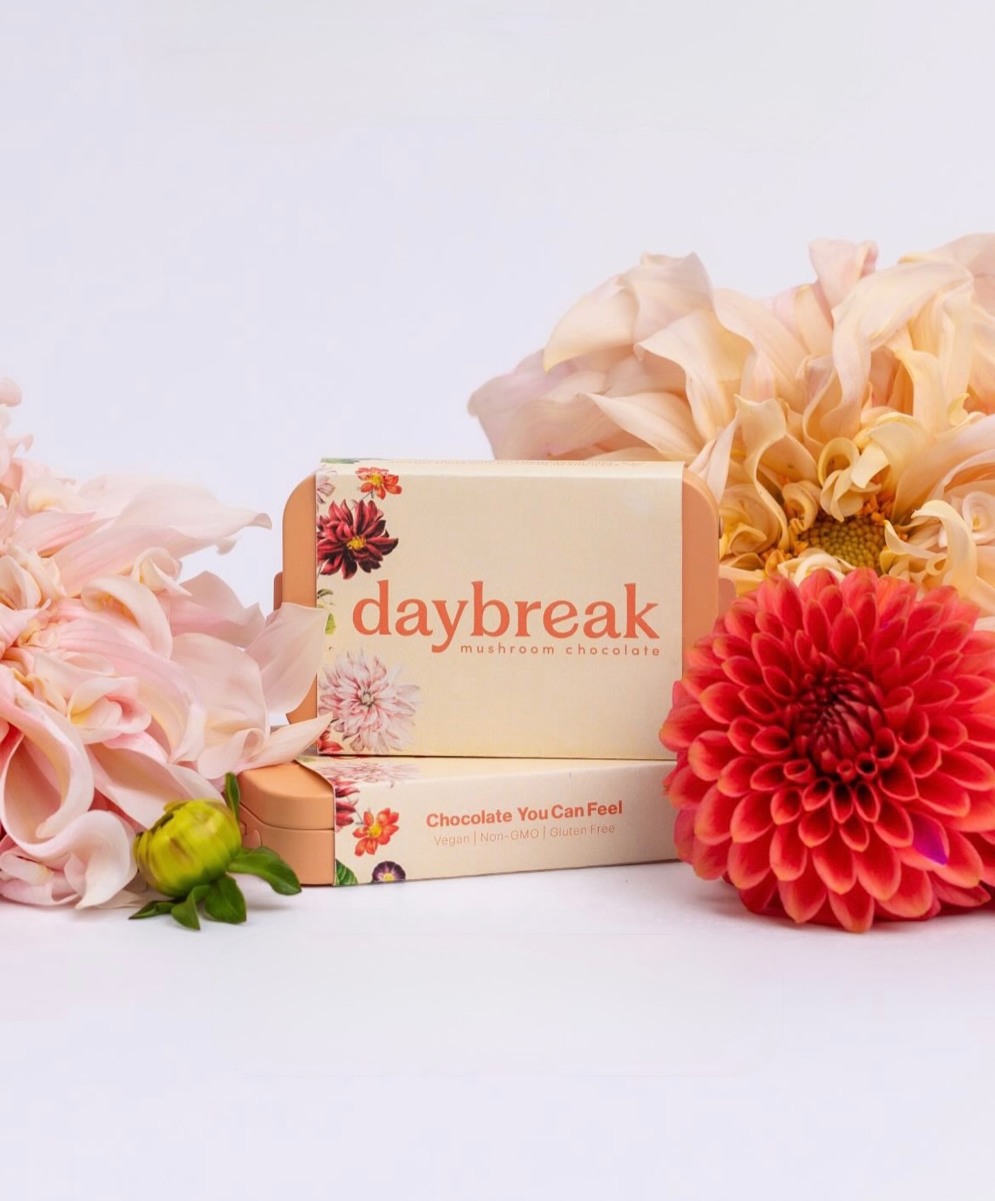 Daybreak Chocolate on Instagram